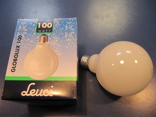 Leuci glühlampe globe - glühlampe,